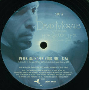 How Would U Feel (The Peter Rauhofer Remixes) (12" VINYL) | Near Mint (NM) Near Mint (NM) - HOUSE / USED *NEAR MINT*