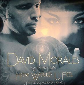 How Would U Feel (The Peter Rauhofer Remixes) (12" VINYL) | Near Mint (NM) Near Mint (NM) - HOUSE / USED *NEAR MINT*