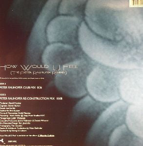 How Would U Feel (The Peter Rauhofer Remixes) (12" VINYL) | Near Mint (NM) Near Mint (NM) - HOUSE / USED *NEAR MINT*