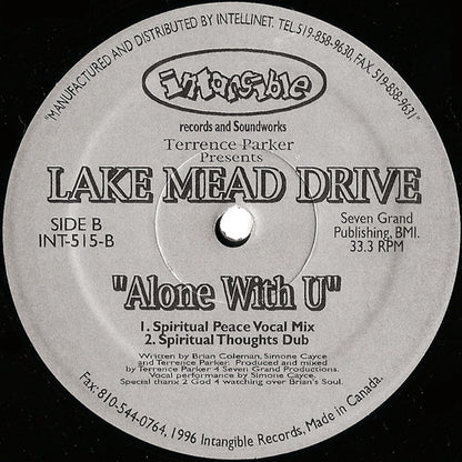 Alone With U (VINYL) | Near Mint (NM) Generic - HOUSE / USED *NEAR MINT*