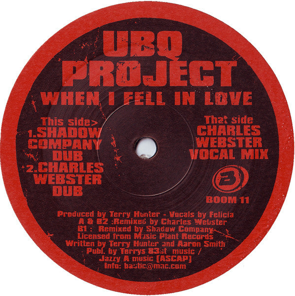 UBQ Project - When I Fell In Love (2002 Rmx)(VINYL 12") | USED Very Good Plus (VG+) Very Good Plus (VG+) - HOUSE / USED *VERY GOOD+*