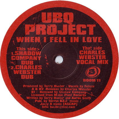 UBQ Project - When I Fell In Love (2002 Rmx)(VINYL 12") | USED Very Good Plus (VG+) Very Good Plus (VG+) - HOUSE / USED *VERY GOOD+*