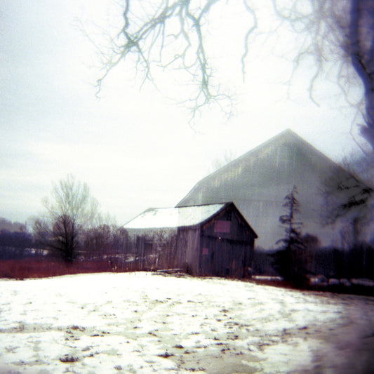 Horse Feathers - House With No Home (CD) |