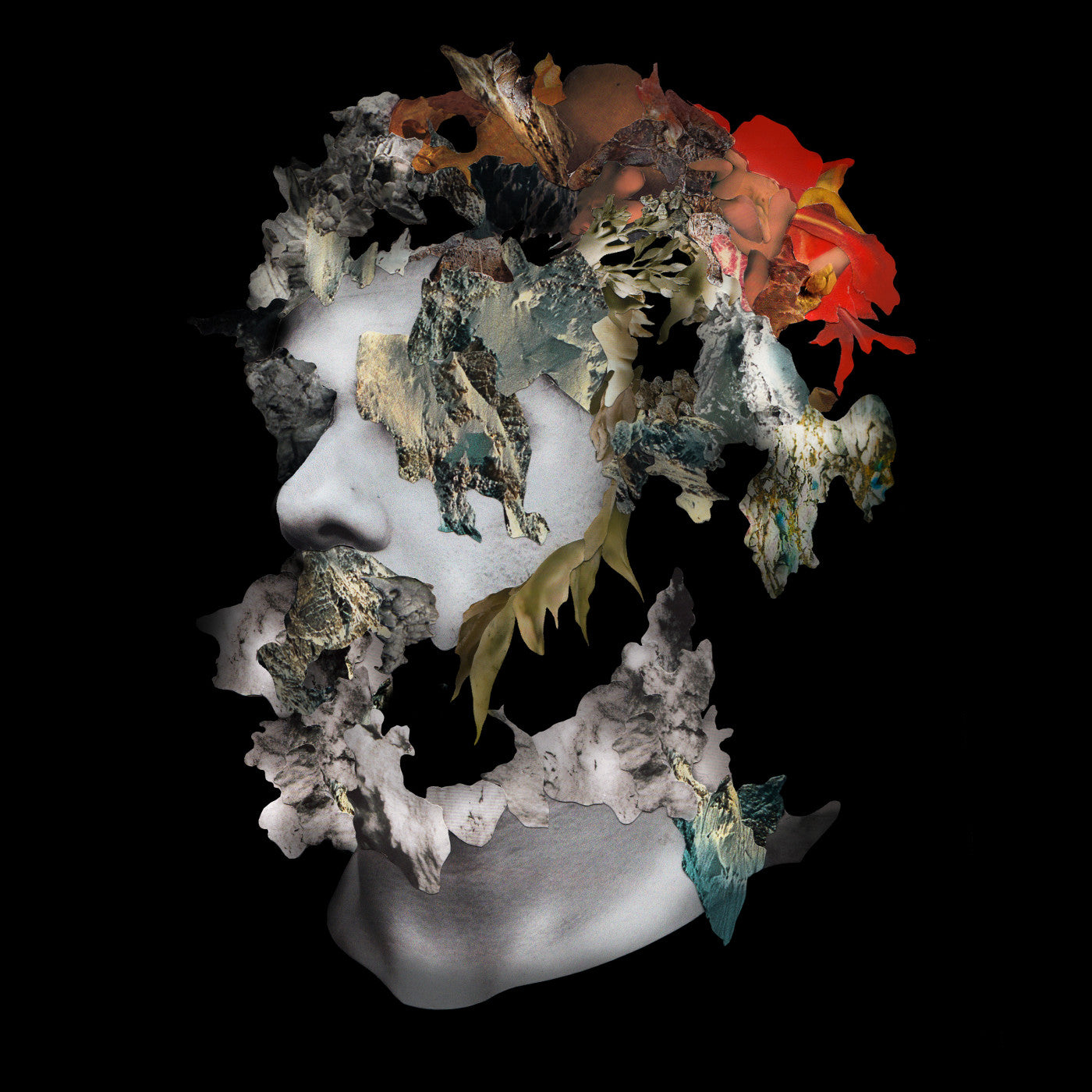 Ash Koosha - I AKA I (CD) |