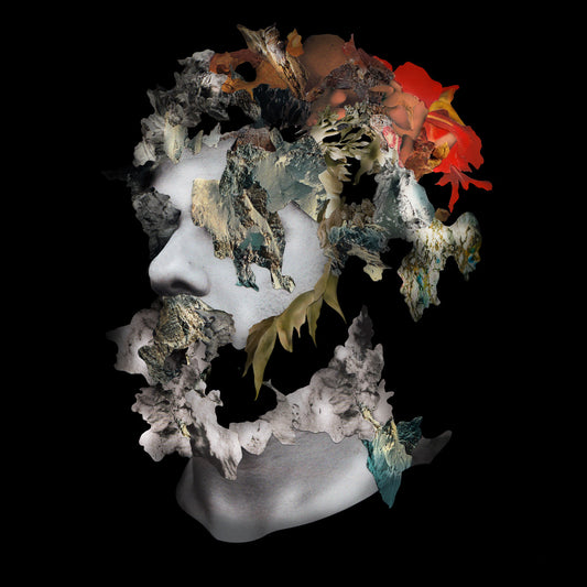 Ash Koosha - I AKA I (CD) |