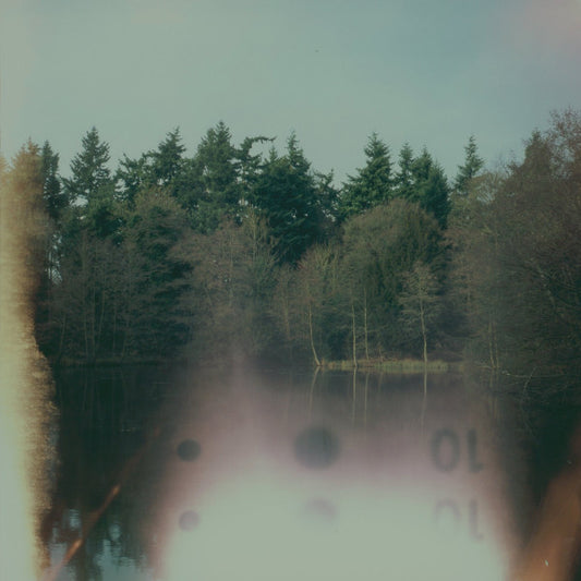 The Loss Of Wilderness (COKE BOTTLE CLEAR) | Mint (M) Mint (M) - AMBIENT *SEALED/COLOR*