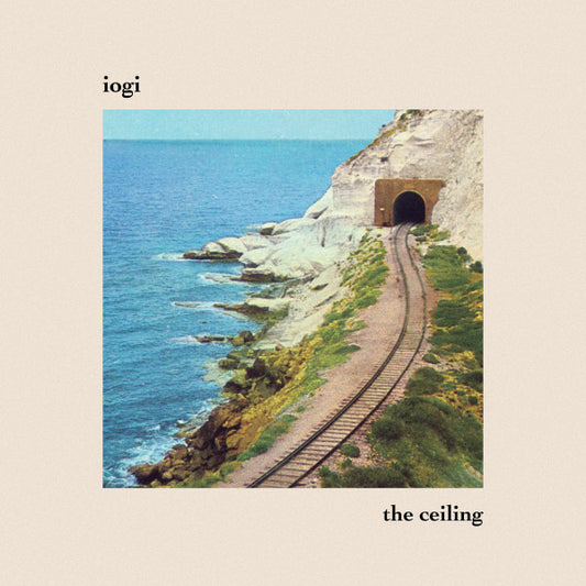 The Ceiling | Mint (M) Mint (M) - ALT/INDIE *SEALED*