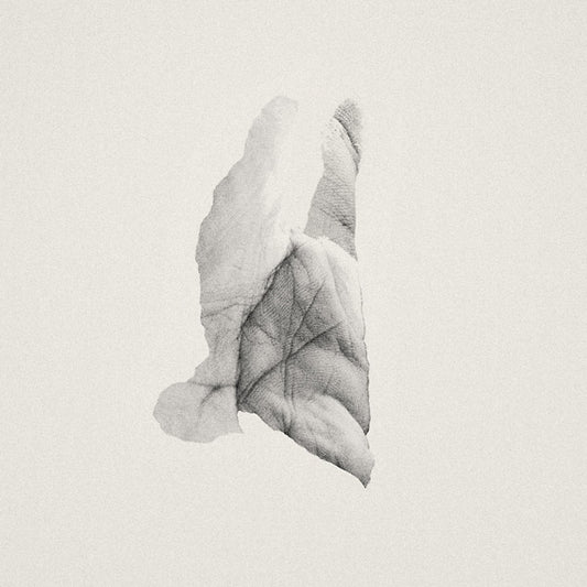 Sleep Heavy |