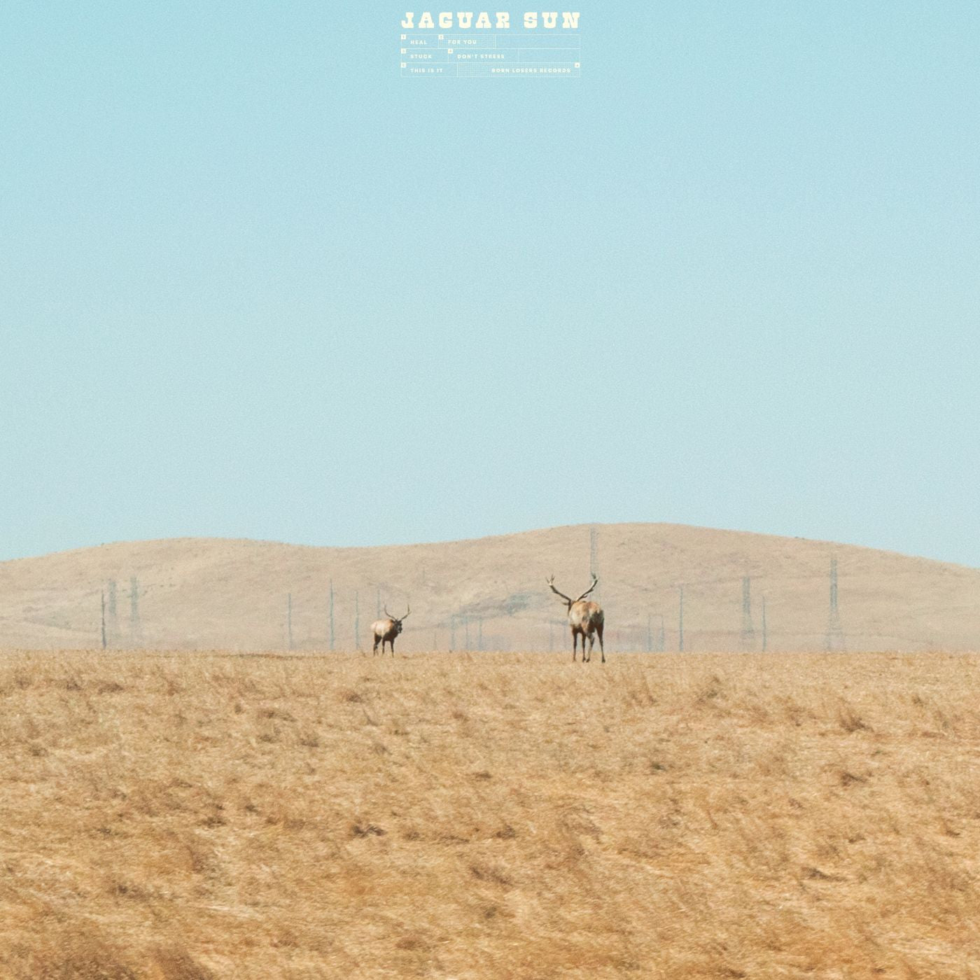 For You (Blue And Black Swirl Vinyl) |