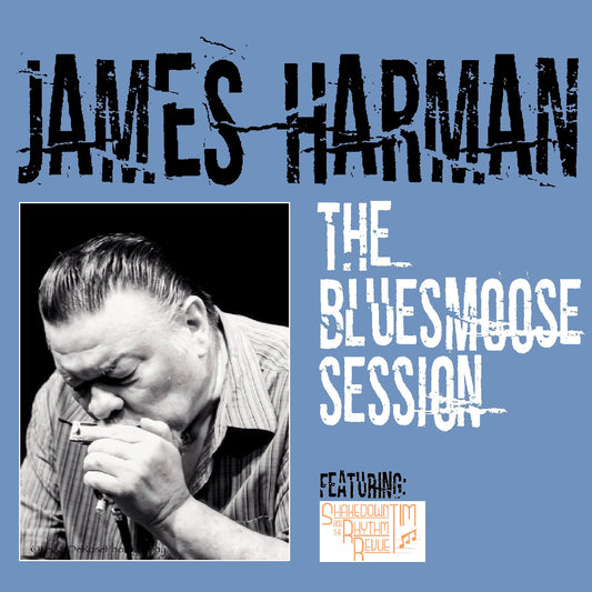 The Bluesmoose Session |
