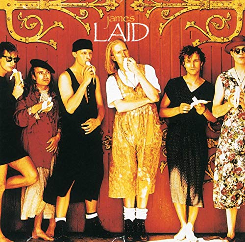 Laid | Mint (M) Mint (M) - ALT/INDIE *SEALED*