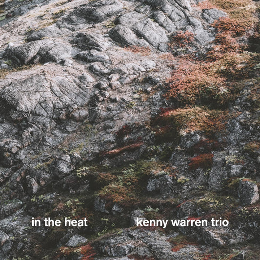 Warren, Kenny Trio - In The Heat (CD) | Mint Mint - JAZZ *NEW*