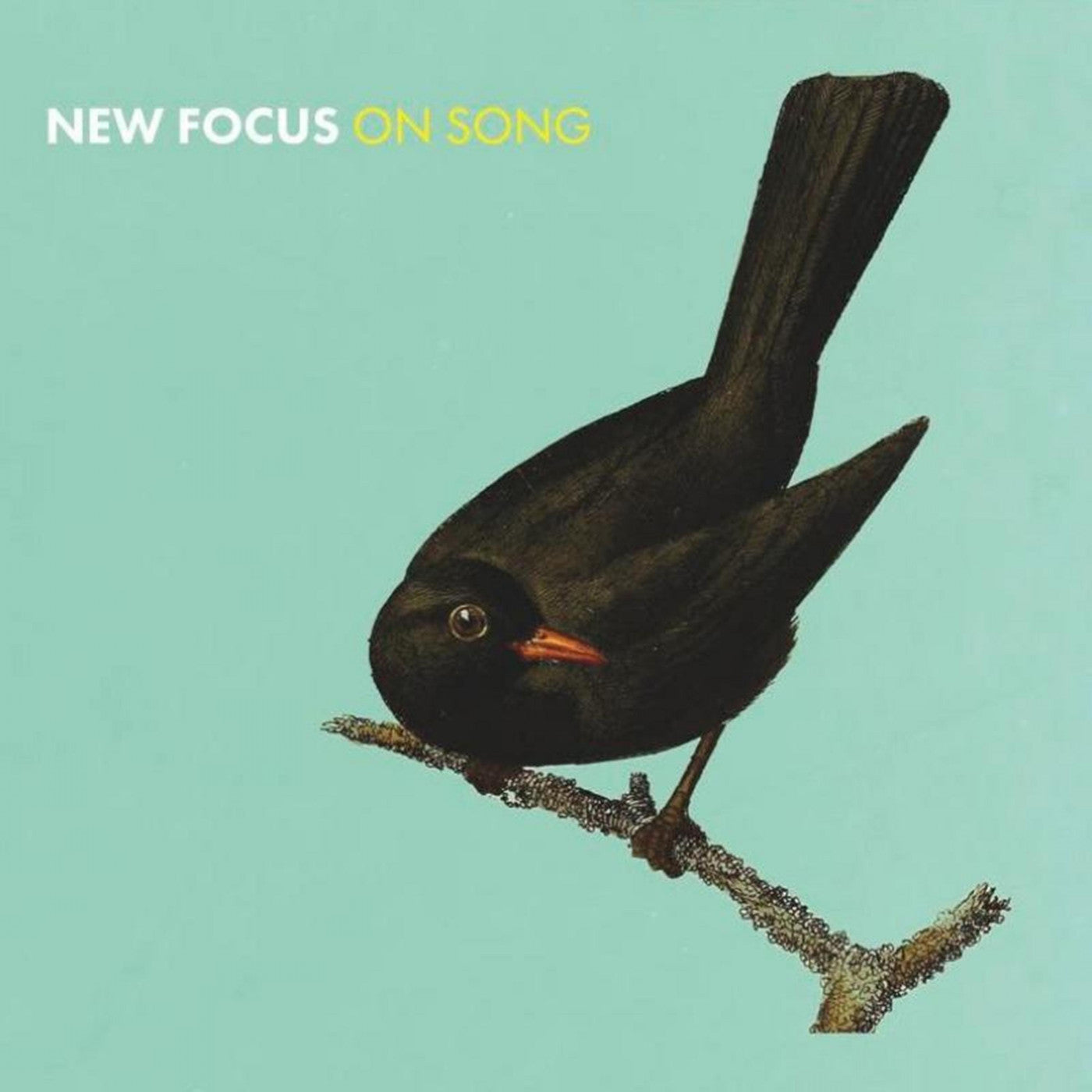 Stevenson, Euan & Wiszniewski, Konrad - New Focus On Song (CD) | Mint (M) Mint (M) - JAZZ *NEW*