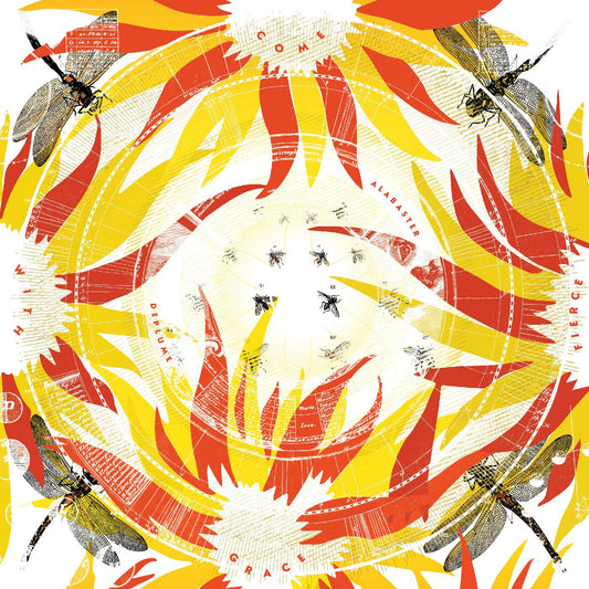 DePlume, Alabaster - Come With Fierce Grace | - JAZZ *NEW*