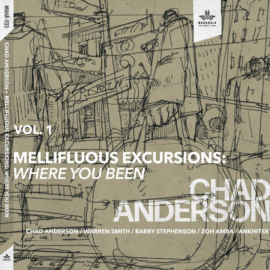 Anderson, Chad - Mellifluous Excursions Vol. 1 - Where You Been (CD) | - JAZZ *NEW*
