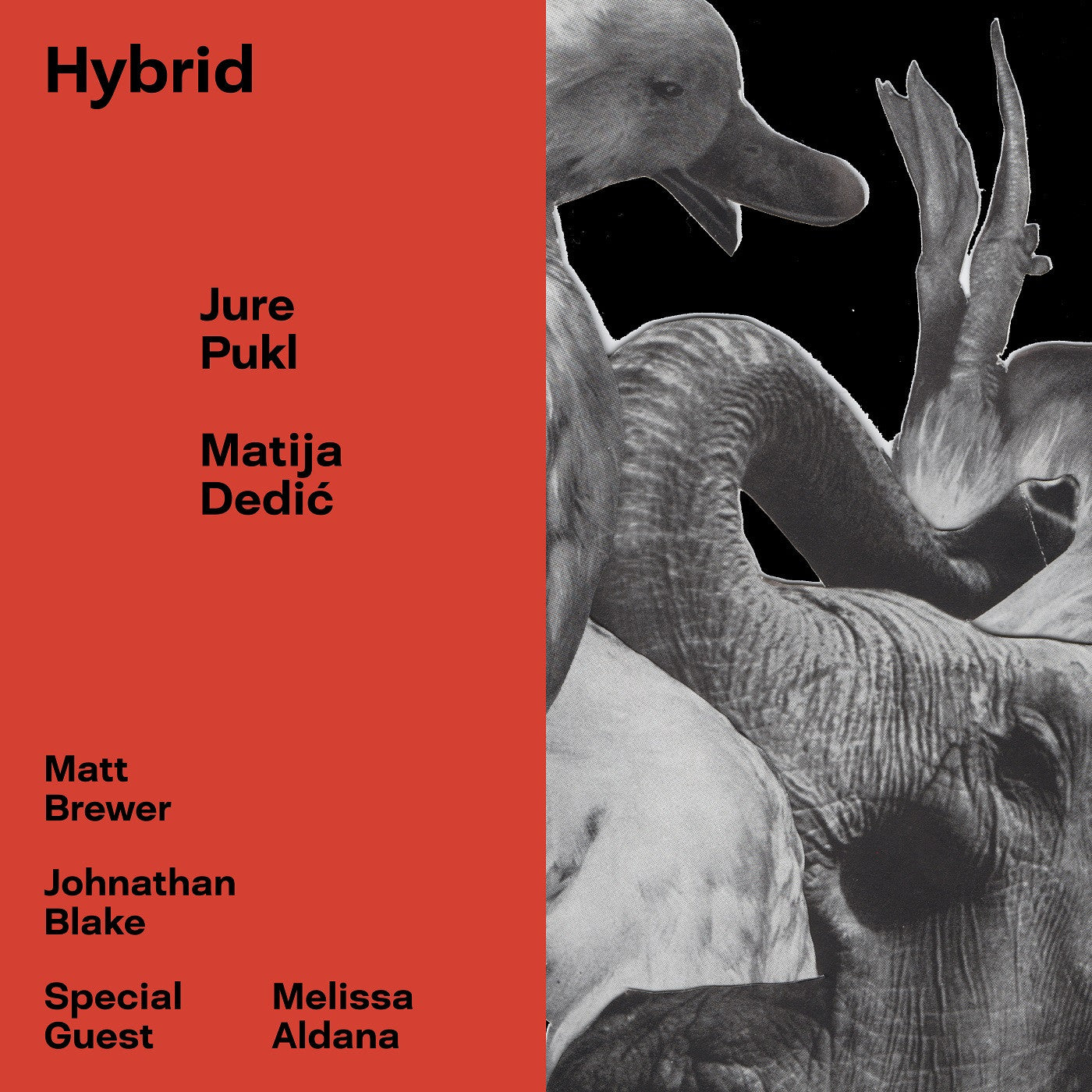 Pukl, Jure & Matija Dedic - Hybrid (CD) | Mint (M) Mint (M) - JAZZ *NEW*