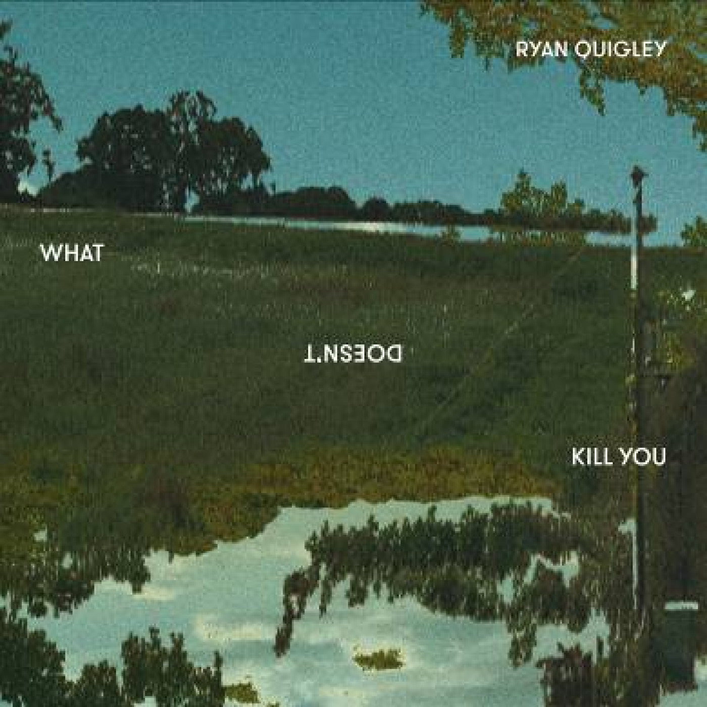 Quigley, Ryan - What Doesn't Kill You (CD) | Mint (M) Mint (M) - JAZZ *NEW*