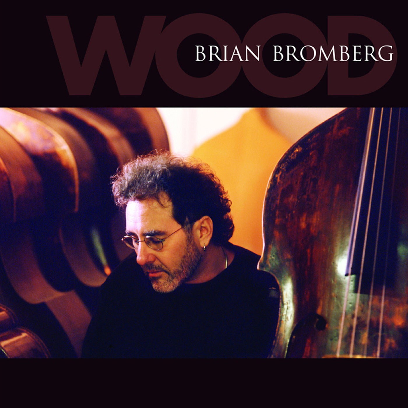 Bromberg, Brian - Wood (CD) | - JAZZ *NEW*