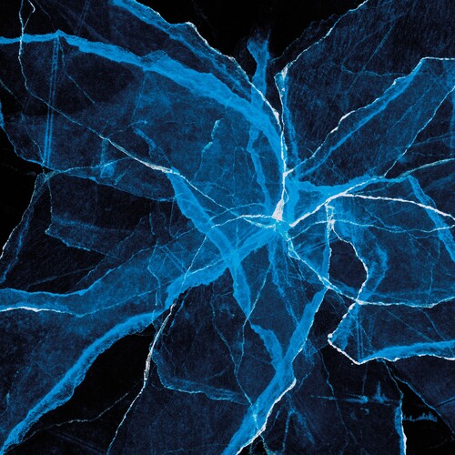 (PRE-ORDER 5/1/26) Shards (CLEAR VINYL) | Mint (M) - JAZZ *NEW*