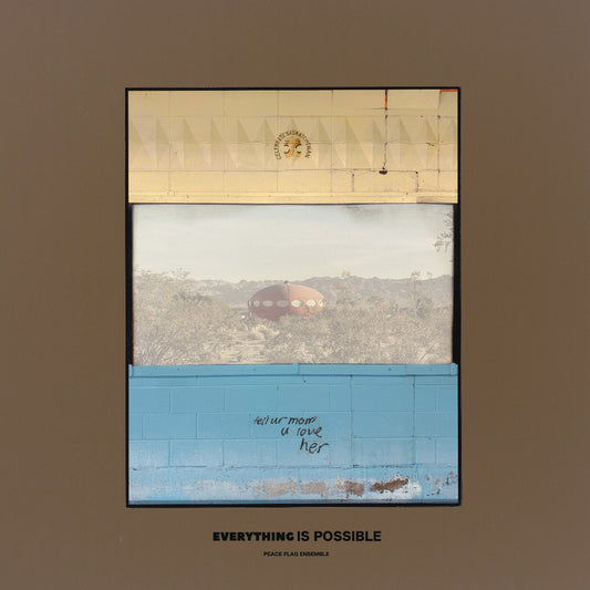 Peace Flag Ensemble - Everything Is Possible | - JAZZ *NEW*