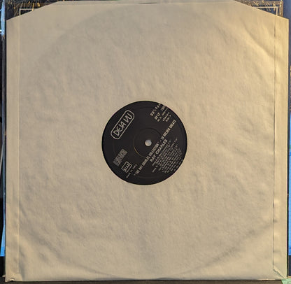 The Ray Charles Collection - 20 Golden Greats *ITALIAN PRESS* | Excellent (EX) Near Mint (NM)