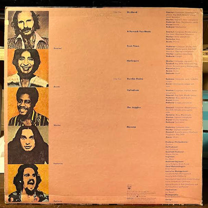 Heavy Weather (VINYL) | Excellent (EX) Near Mint (NM or M-) - JAZZ / USED *EXCELLENT*