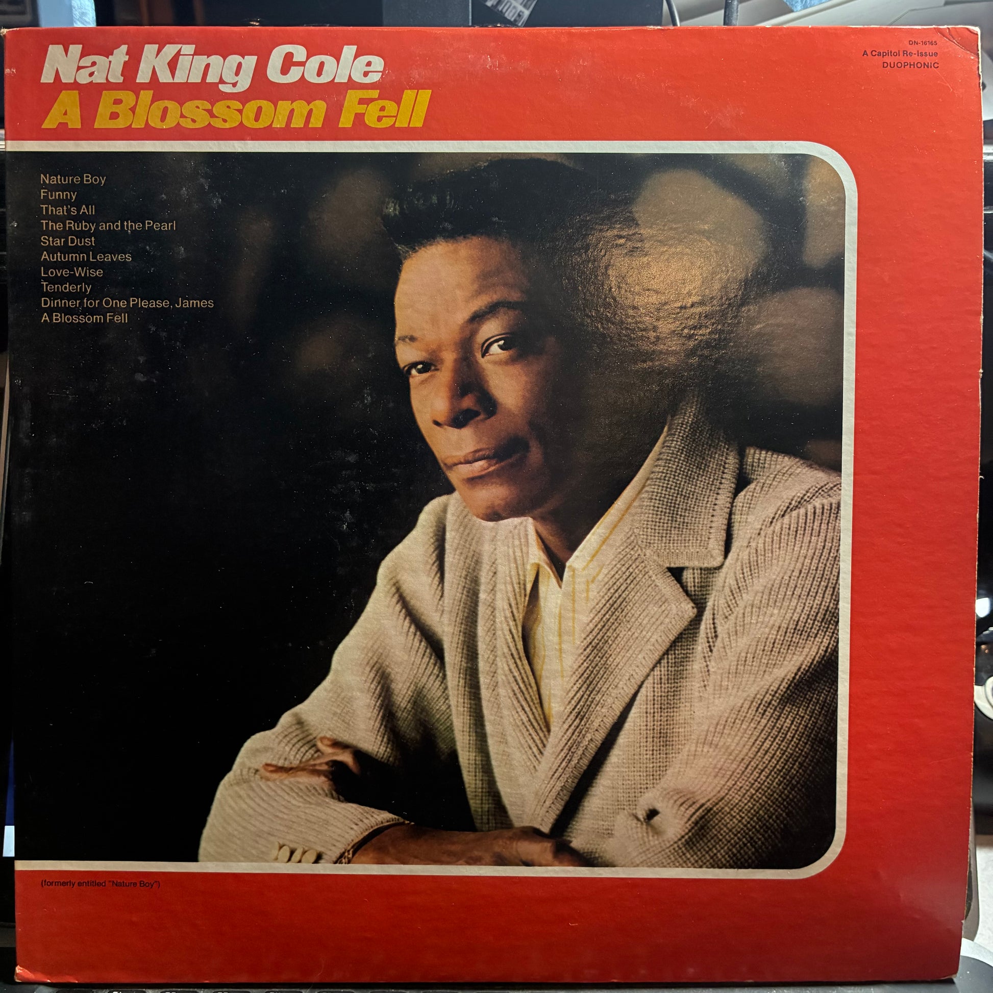 A Blossom Fell (VINYL) | Excellent (EX) Excellent+ (EX+) - JAZZ / USED *EXCELLENT*