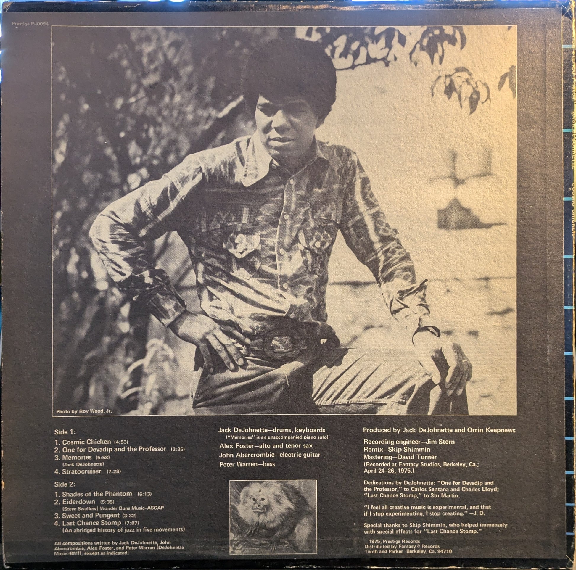 Cosmic Chicken (VINYL) | Near Mint (NM) Very Good Plus (VG+) - JAZZ / USED *NEAR MINT-*