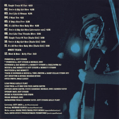 Simple Twist Of Fate (CD) | Near Mint- (NM-) Near Mint- (NM-) - JAZZ / USED *NEAR MINT-*