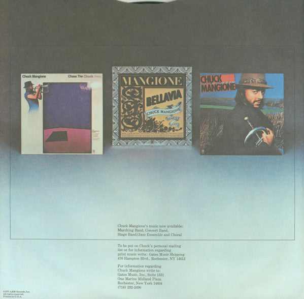 Feels So Good (VINYL) | Near Mint (NM) Excellent (EX) - JAZZ / USED *NEAR MINT*