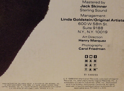 Bobby McFerrin - Simple Pleasures | Near Mint (NM) Near Mint (NM) - JAZZ / USED *NEAR MINT*