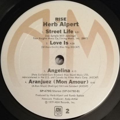 Rise (VINYL) | Near Mint (NM) Near Mint (NM) - JAZZ / USED *NEAR MINT*