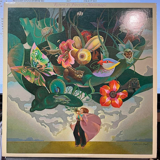 Musicmagic (VINYL) | Near Mint (NM) Near Mint (NM) - JAZZ / USED *NEAR MINT*