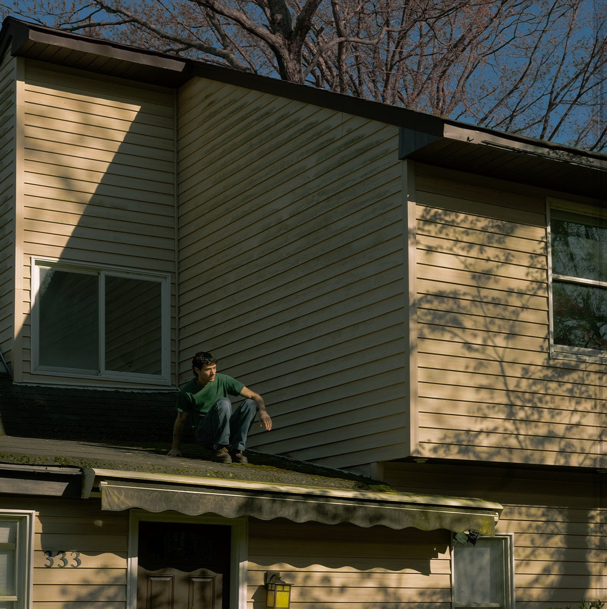 Garden State (Indie Exclusive) (Garden State Green Vinyl) |