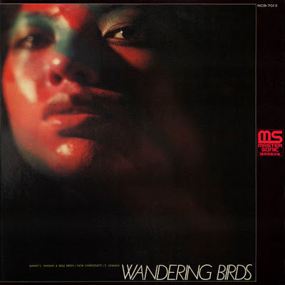 Jiro Inagaki & Soul Media - Wandering Birds |