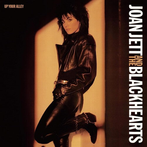 Up Your Alley (140 Gram Vinyl) |