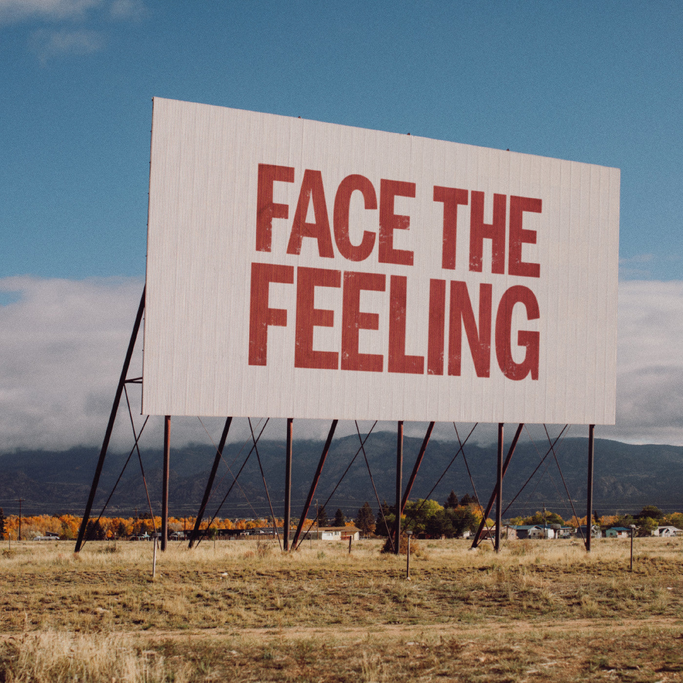 (PRE ORDER 5/15/26) Face The Feeling (Black & White Splash Vinyl) | - FOLK *NEW/COLOR*