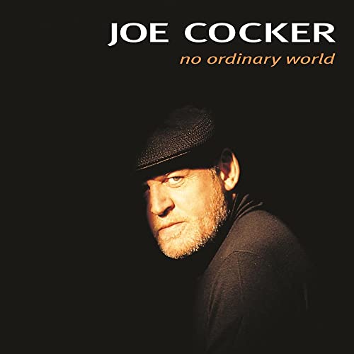 No Ordinary World [2 LP] |