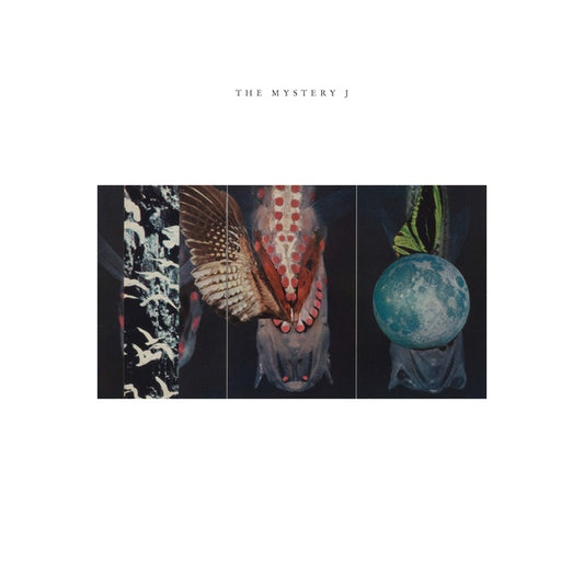 The Mystery J |