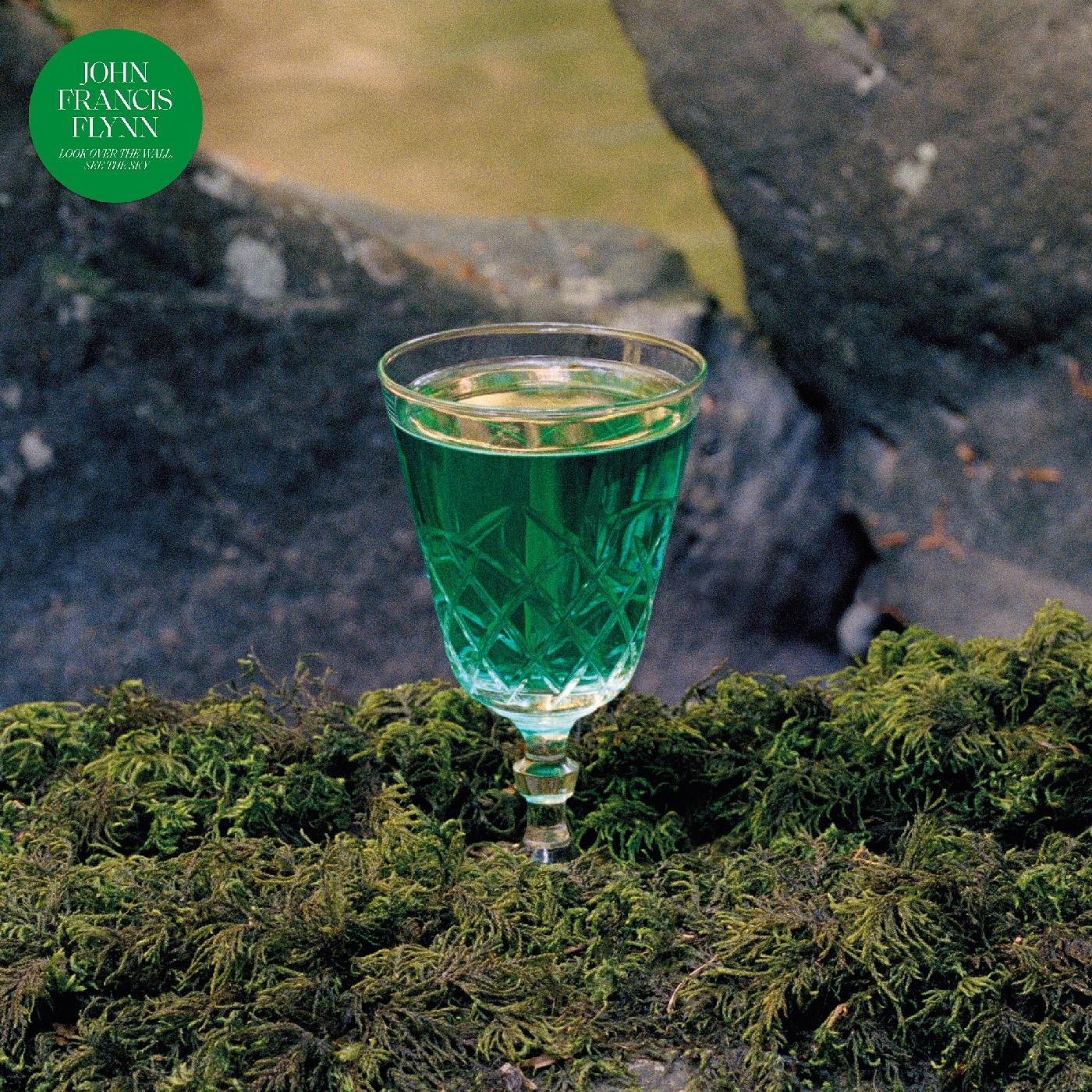 Look Over The Wall See The Sky (Indie Exclusive Green Vinyl) |