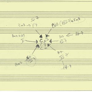 Schott, John - John Schott's Actual Trio (CD) |