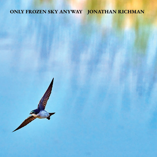 Only Frozen Sky Anyway LP |