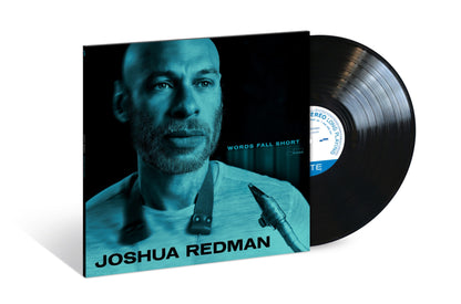 Words Fall Short [180G Lp] |