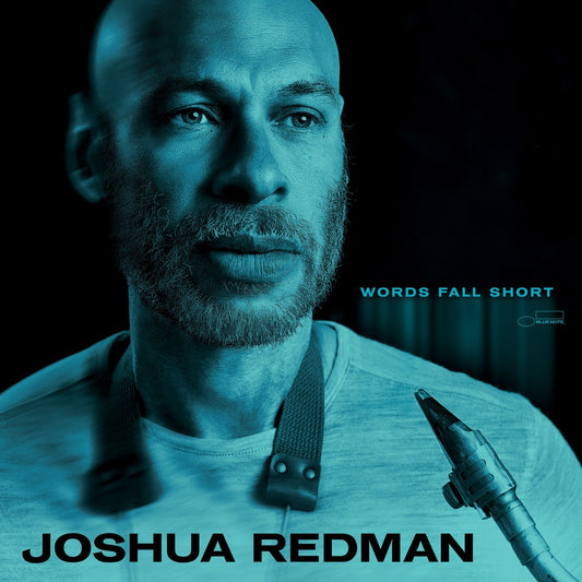 Words Fall Short [180G Lp] |