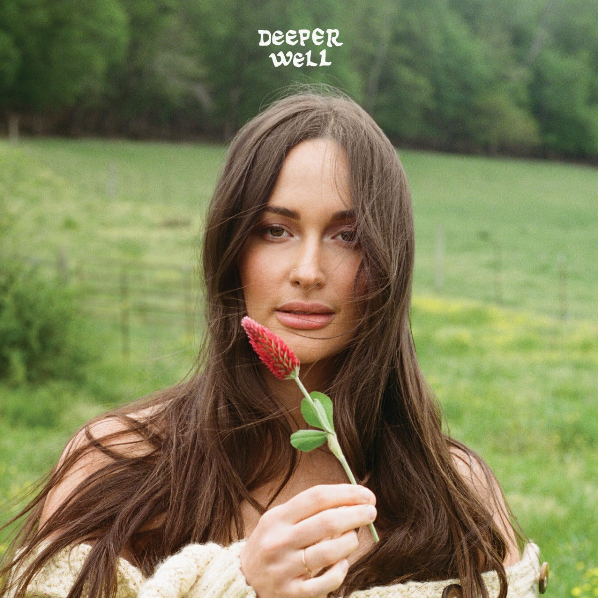 Deeper Well (TORTOISE SHELL VINYL) | Mint (M) Mint (M) - FOLK *SEALED/COLOR*