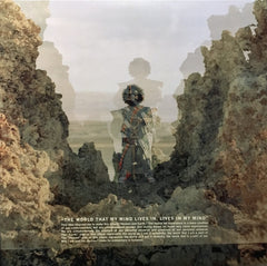 Kamasi Washington Heaven And Earth Young Turks 5xLP, Album Mint (M) Mint (M)