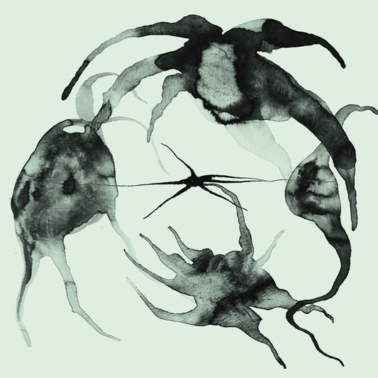 A Rift In the Horizon's Wall |