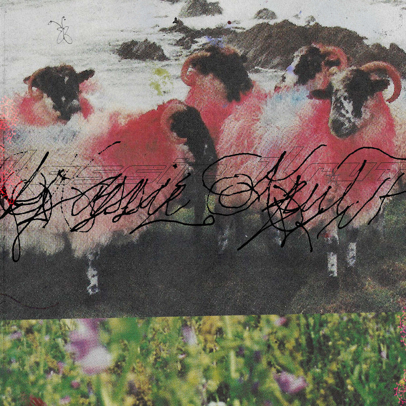 Kassie Krut (Deluxe Edition) |