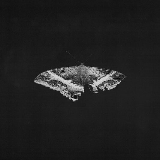 To Pimp A Butterfly (10 Year Anniversary Edition) - Alternate Artwork [180G 2 Lp] |