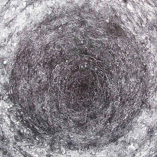 The Back Room [Import] (VINYL) | Mint (M) Mint (M) - EXPERIMENTAL *NEW*